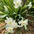 Ellen Bartz De Rycke's profile image