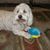 Darlene Edwards's profile image