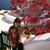 Kelly Yang's profile image