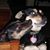 Nels Rasmussen's profile image