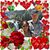 Cynthia Ann Ternora Seafeldt's profile image