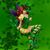 Liz Foley's profile image