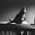 Hannah Prosch's profile image