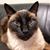 Robin Helsel Gergen's profile image