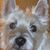 Beth Deal's profile image