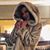 Alfiya Eastin's profile image