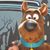 Siewfun Chau's profile image