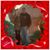 Joanne Talvacchio's profile image