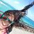 Angela Wrobel's profile image