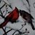 Duwayne JoAnn Anderson's profile image
