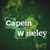 Capein Wiseley's profile image