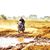 Rakshith Gonnabattulla's profile image