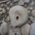 Scott Underwood's profile image