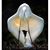 Anne Swan's profile image