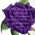 Shawana Harris's profile image