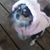 Patti Davis's profile image
