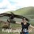 Grace Chen's profile image