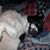 Janice Steirn's profile image