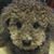 Tomoko Urata's profile image