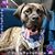 Amy Young's profile image