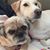 Carolyn Herndon's profile image