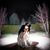 Jaclyn Theleen's profile image