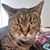 Meg Smith Ragle's profile image