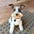 Bonnie Trasamar's profile image