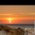Diane Singer's profile image