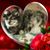 Laurie Heckert's profile image