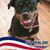 Michelle Schoen's profile image