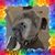 Silver Diamond's profile image