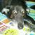 Amy Niemisto Camp's profile image