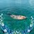 Sherry Hymel Rowley's profile image
