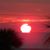 Susan McMullen's profile image