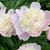Jose Luis's profile image