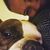Tiffany Ford's profile image