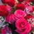 Dia Freni's profile image