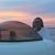 Barbara Sabin's profile image