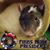 Sarah Perry's profile image