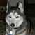 Steve Runge's profile image