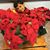 Akila Ashok's profile image