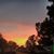 Sunshine L Boone's profile image