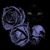 Pamela Elaine Clay-Taylor's profile image
