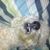 Roy Gerbel's profile image