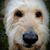 Sandra Hunt's profile image