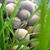 NoorRa Bindu's profile image