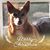 Darlene Farrell's profile image