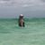Stephanie Swanstrom's profile image