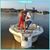 Tammy Hanner Harrell's profile image